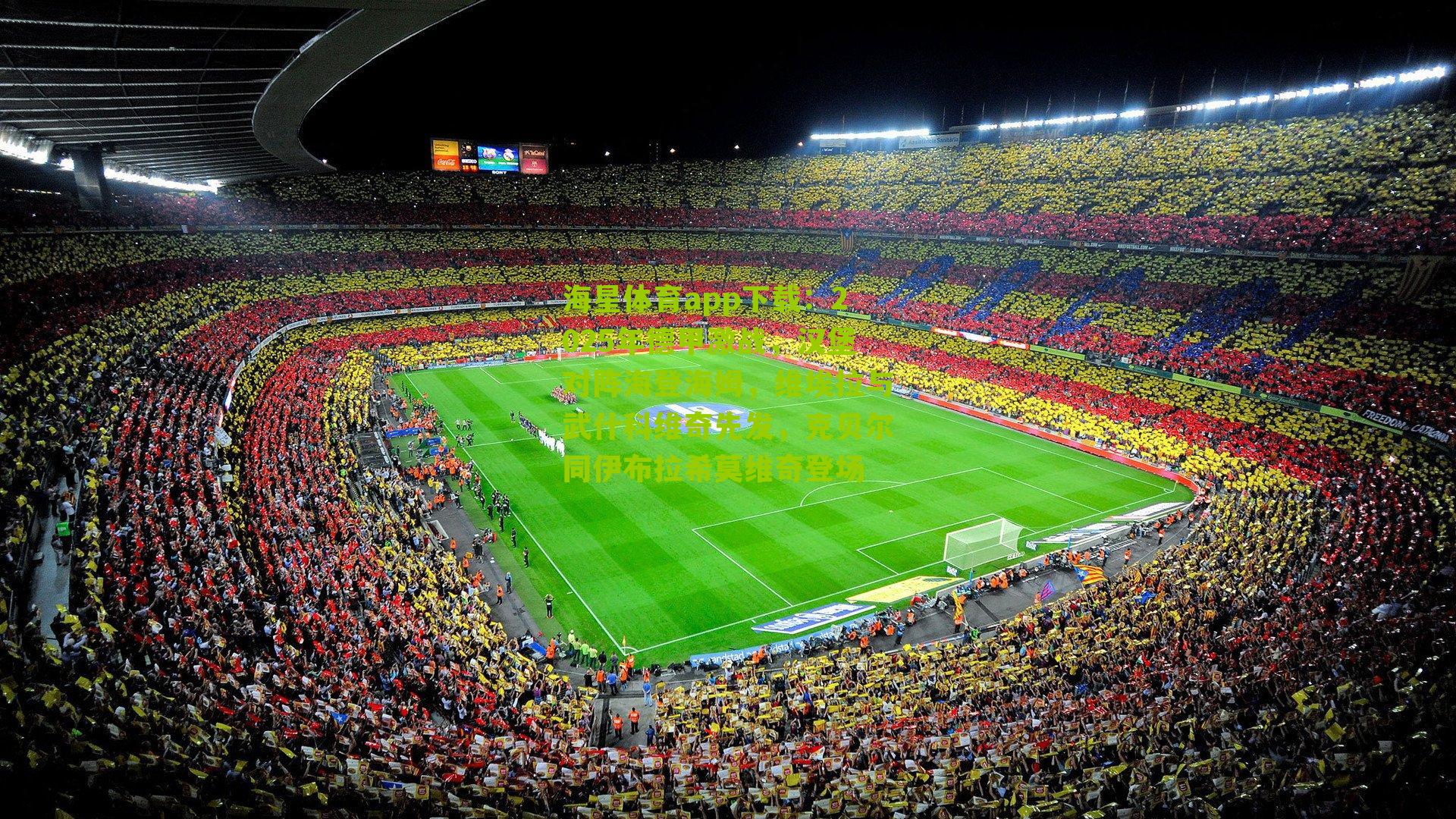 2025年德甲激战，汉堡对阵海登海姆，维埃拉与武什科维奇先发，克贝尔同伊布拉希莫维奇登场